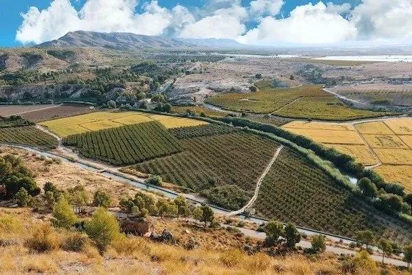 NIEUWBOUW VILLA'S IN CALASPARRA, MURCIA image 17