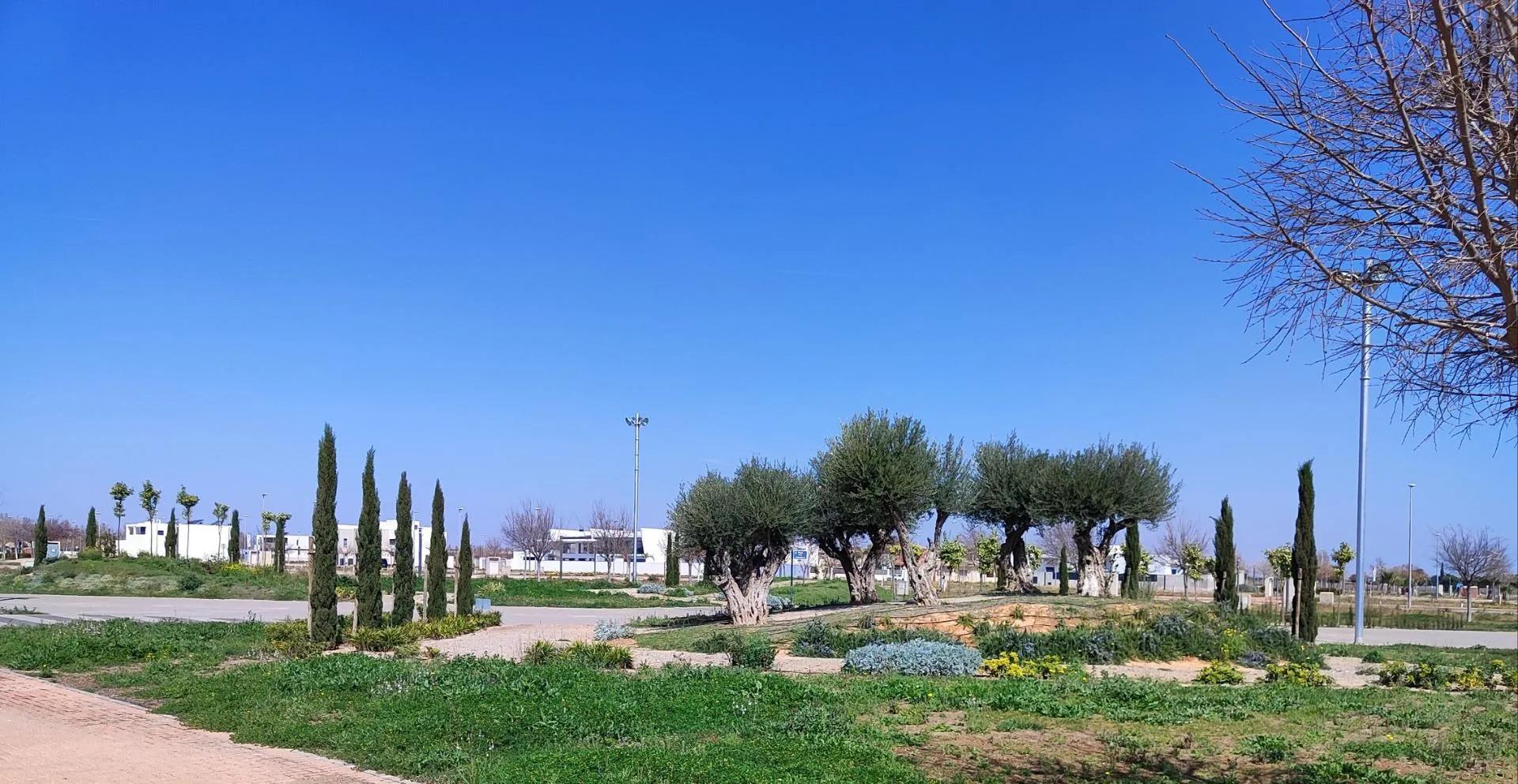 NEUBAU WOHNUNGEN IN TORRE-PACHECO image 10