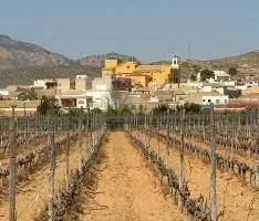 NEUBAU BUNGALOWS IN HONDON DE LAS NIEVES image 11