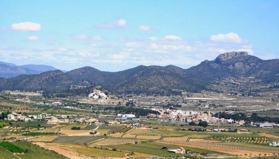 Nybyggede villaer i La Romana. image 15