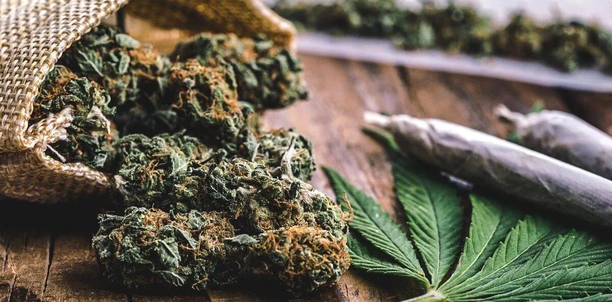 Marijuana Torrevieja... image