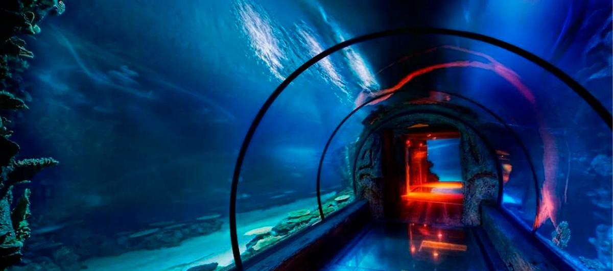 Der Unterwassertunne... image