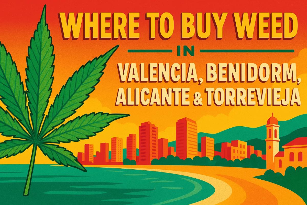 Buy Weed in Valencia... image